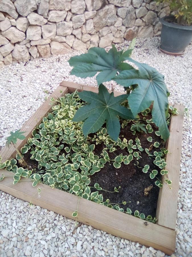 Casa Carmen Villa Calpe Eksteriør billede